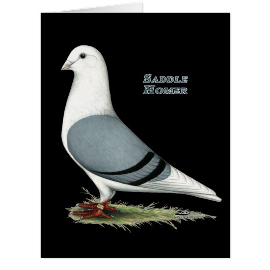 Homer Blue Saddle (Front)