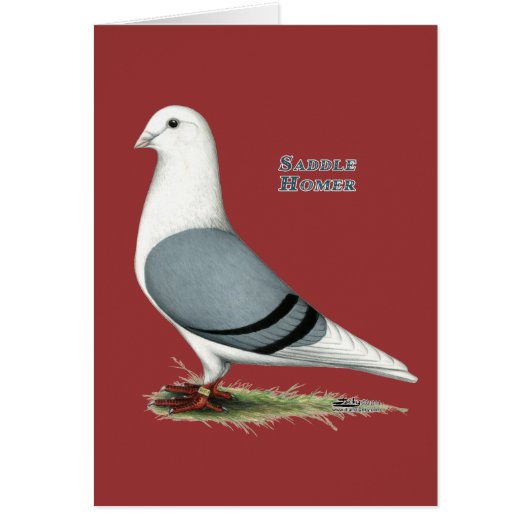 Homer Blue Saddle Cards (Front)