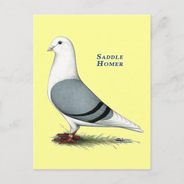 Homer Blue Saddle Postcard (Front)
