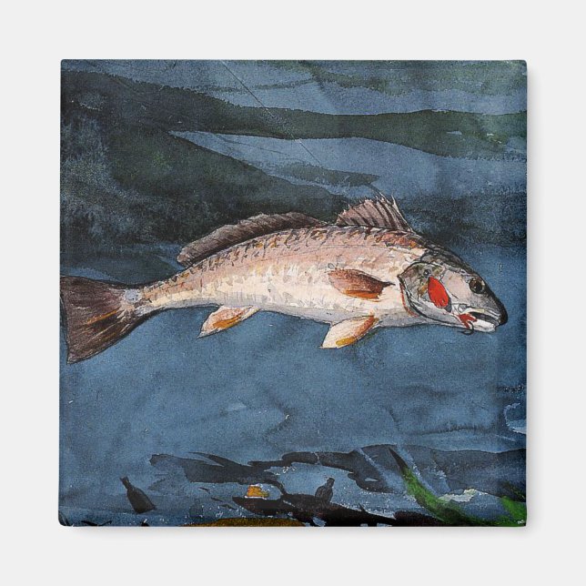 Homer - Channel Bass, Florida, Magnet (Front)