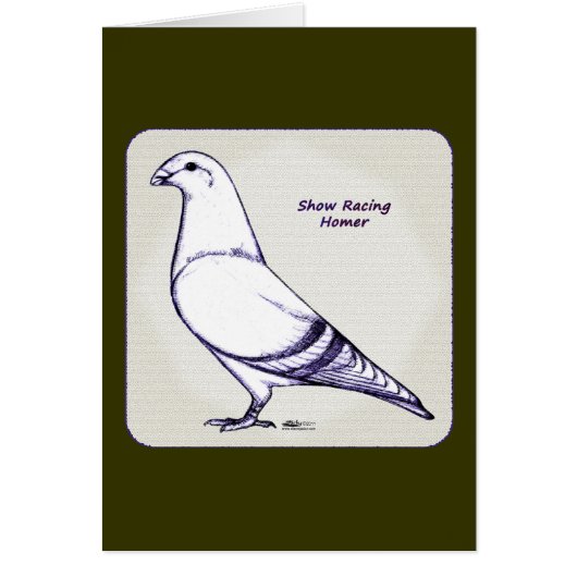 Homer Design (Front)