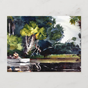 Homer - Homosassa Jungle Postcard