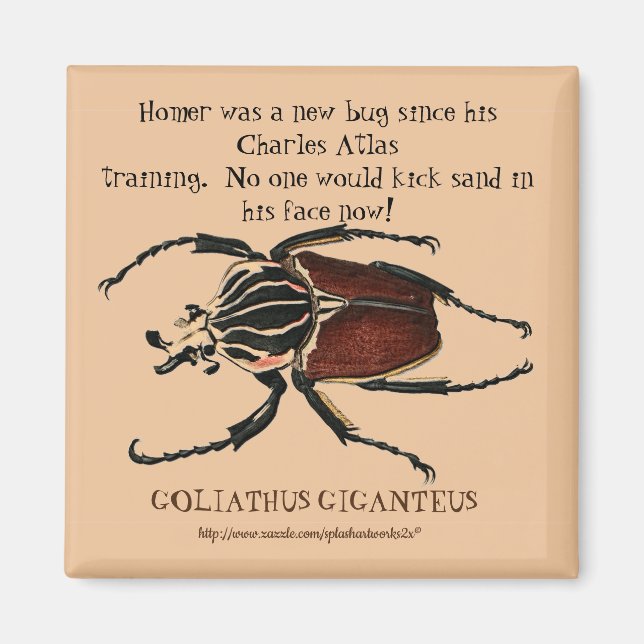 "Homer, the Goliath Beetle" Magnet (Front)
