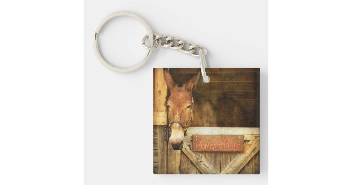Homer the Mule key chain Zazzle