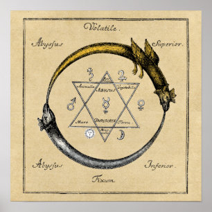 Homer's Dragons Ouroboros Square Poster
