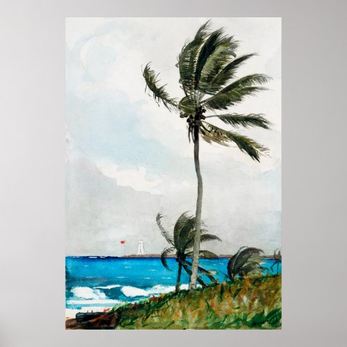 Homers Palm Tree Nassau Poster