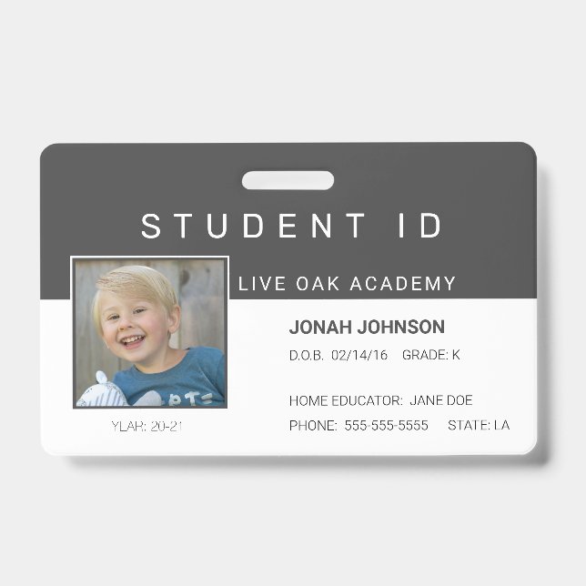 Homeschool Student ID Badge | Paper Airplanes (Front)