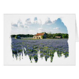 Homestead Cards