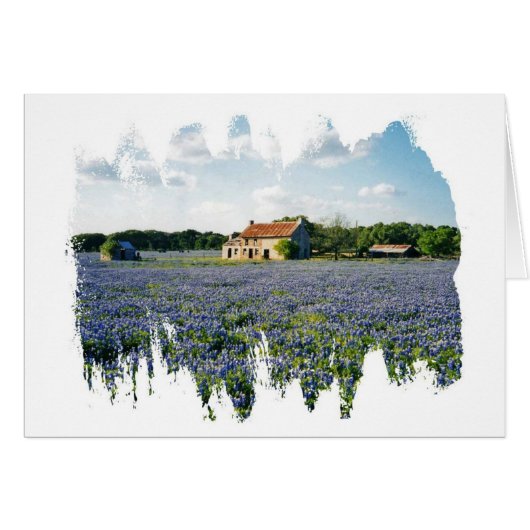 Homestead Cards (Front Horizontal)