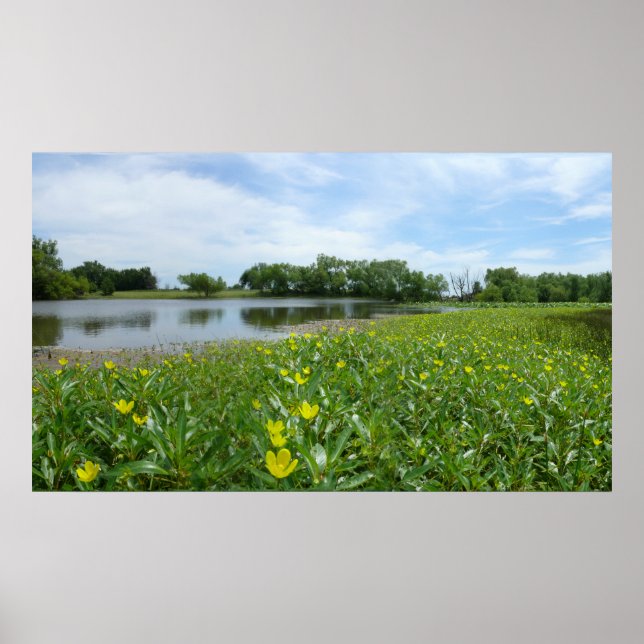 Homestead Pond Poster (Front)