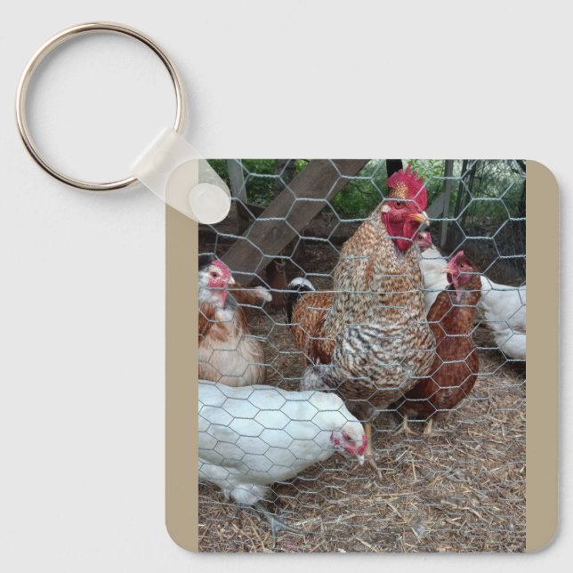 Homesteading rules keychain (Front)