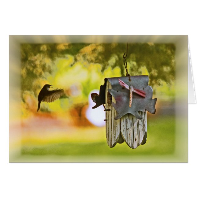 Homeward Bound Cards (Front Horizontal)