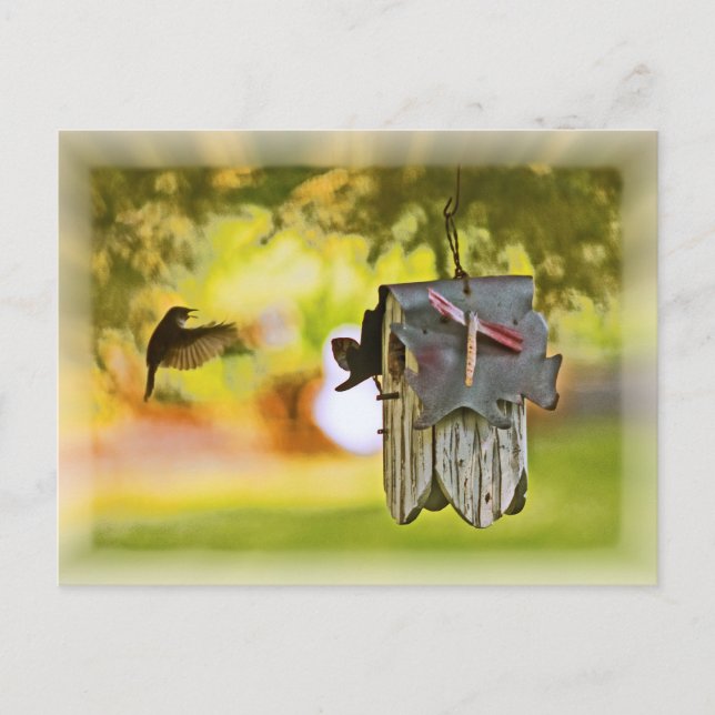 Homeward Bound Postcard (Front)