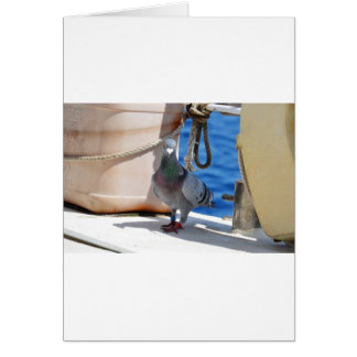 Homing Pigeon Cards