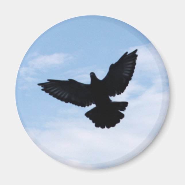 Homing Pigeon Coming Home Magnet (Front)