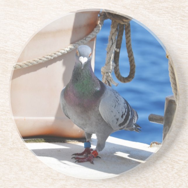 Homing Pigeon Drink Coaster (Front)