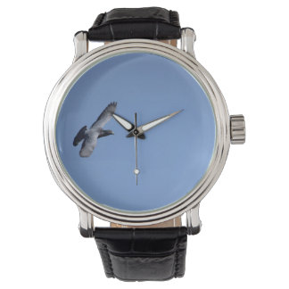 Homing Pigeon in Flight Watch