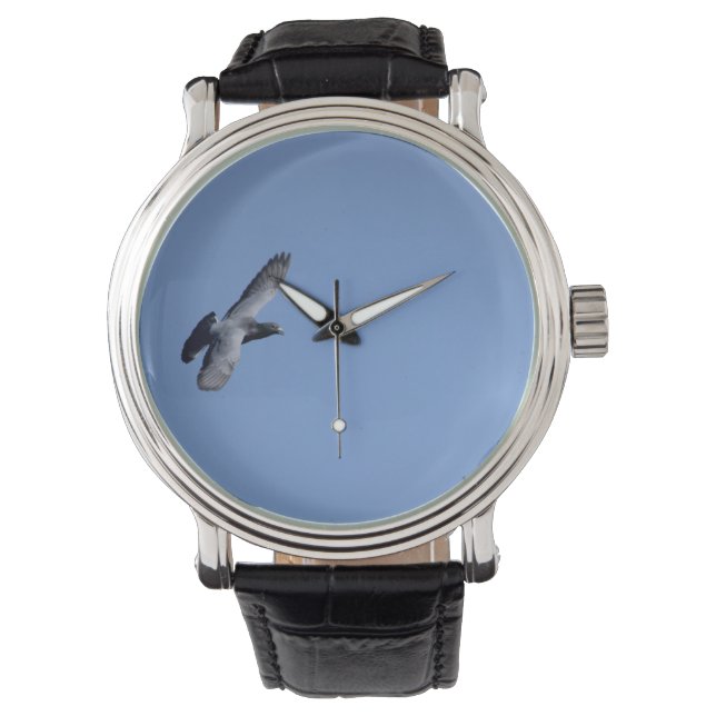 Homing Pigeon in Flight Watch (Front)