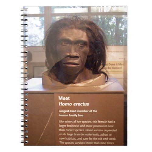 Homo erectus museum exhibit notebook