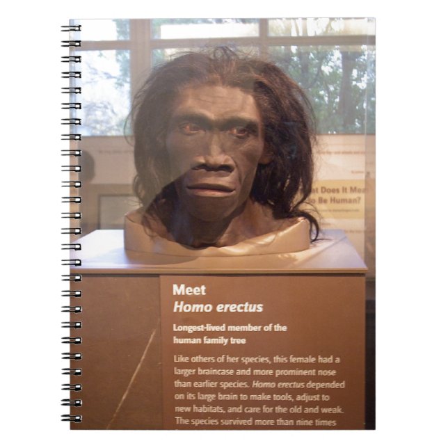 Homo erectus; museum exhibit notebook (Front)