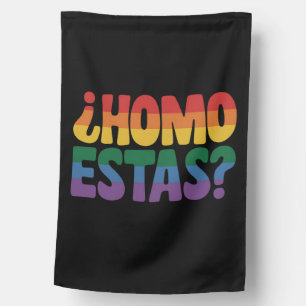 Homo Estas Funny Spanish Mexican Gay Ally LGBTQ House Flag