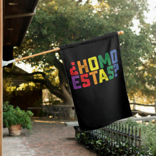 Homo Estas Spanish Mexican Funny Gay Pride LGBTQ House Flag
