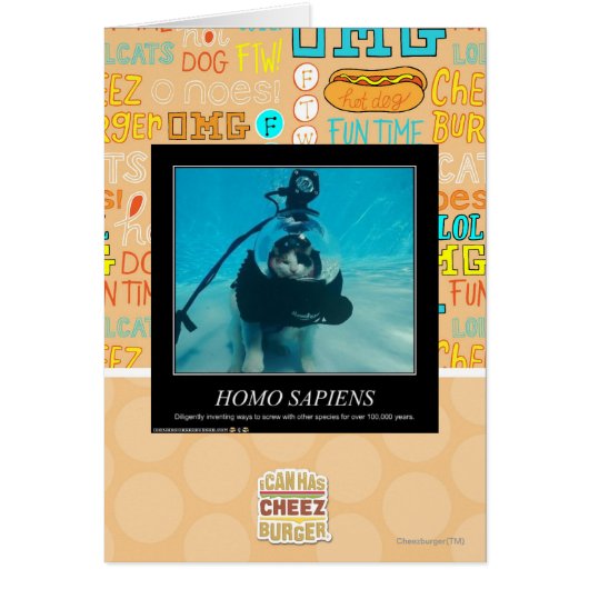 Homo Sapiens Cards (Front)