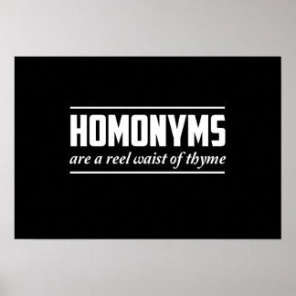 Homonyms Poster