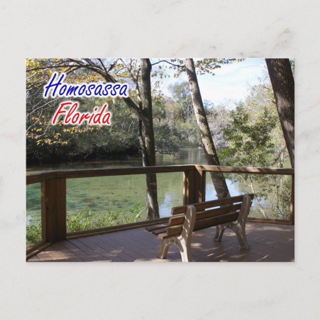 Homosassa Florida Postcard (Front)