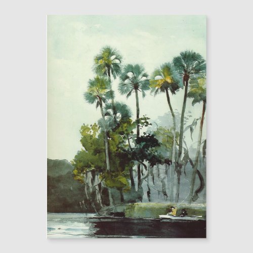 Homosassa River by Winslow Homer