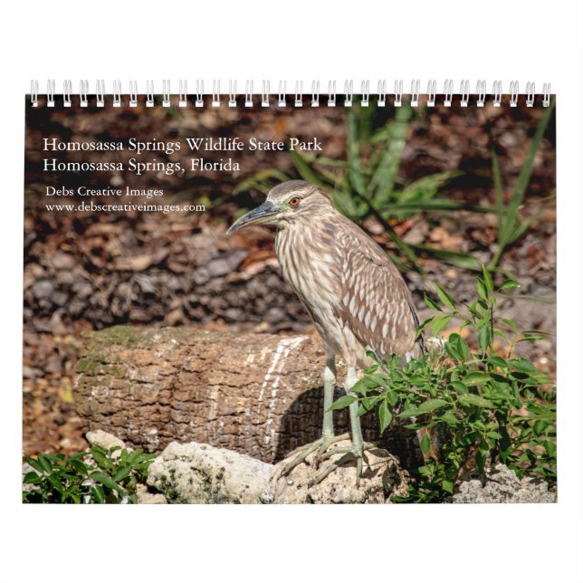 Homosassa Springs Wildlife Park 2026 Calendar (Cover)