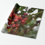 Honduras Coffee Beans Wrapping Paper