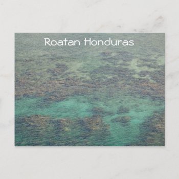 Honduras Coral Reef Postcard by forgetmenotphotos at Zazzle