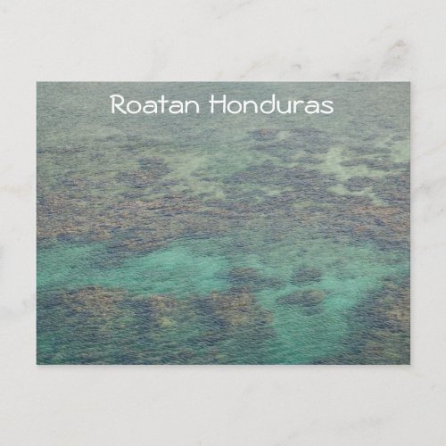 Honduras Coral Reef Postcard