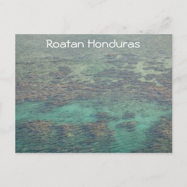 Honduras Coral Reef Postcard (Front)