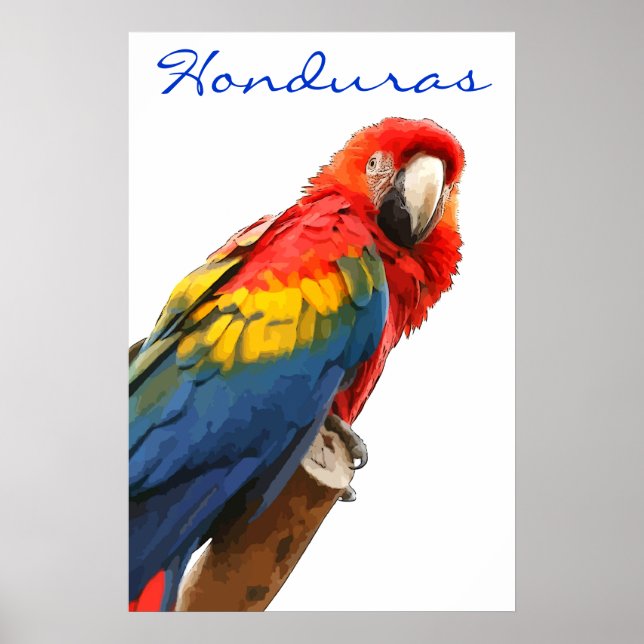 Honduras Scarlet Macaw Poster (Front)