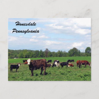 Honesdale Pennsylvania Postcard