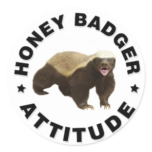 Honey badger has attitude classic round sticker