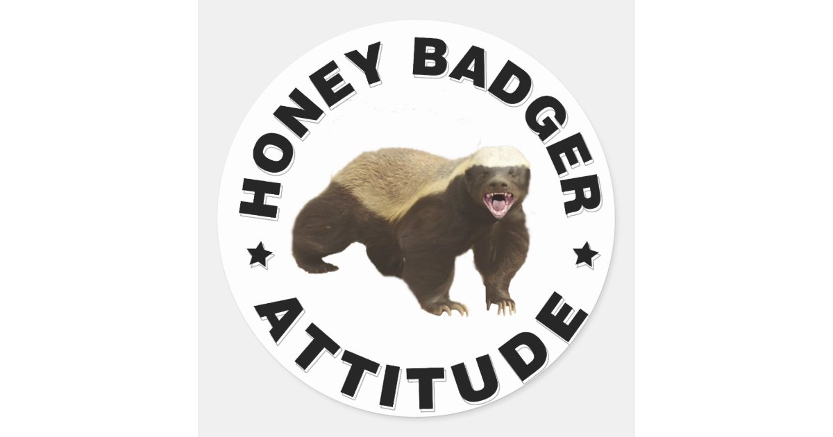 honey badger dont care logo