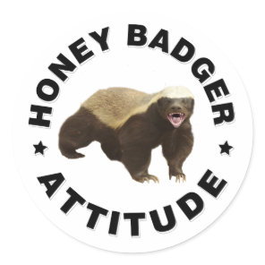 Honey badger has attitude classic round sticker