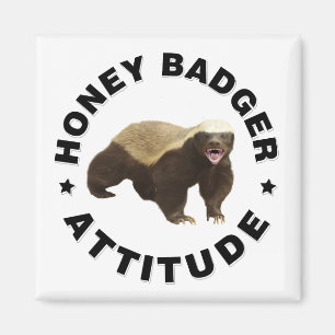 Honey badger has attitude magnet