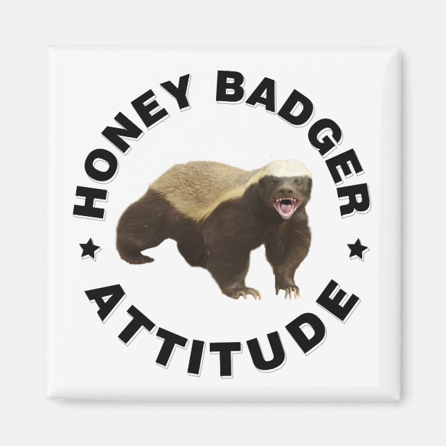 Honey badger has attitude  magnet (Front)