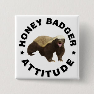 Honey badger has attitude pinback button