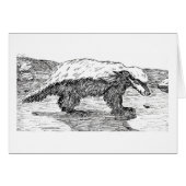 Honey Badger or Ratel (Front Horizontal)