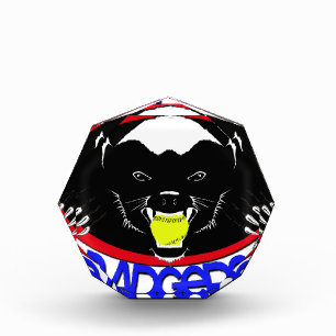 Honey Badger Softball Award