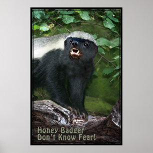 Honey Badger V2 Poster -40x60 -other sizes also