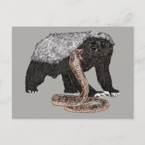 Honey Badger verses snake illustration  Postcard