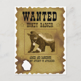 Honey Badger Wanted Poster Postcard