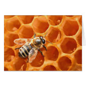 Honey Bee (Front Horizontal)