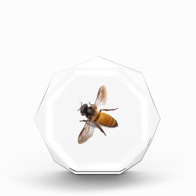Honey Bee Acrylic Award (Front)
